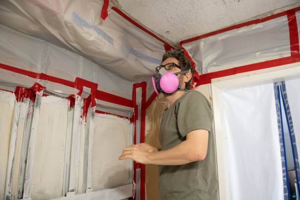 Best Mold Remediation for Vacation Homes  in Butler, GA