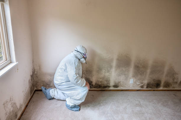 Best Biohazard Mold Removal  in Butler, GA